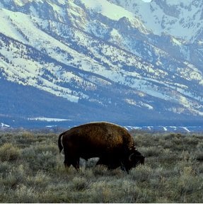 Jackson Hole, WY - ReservationDesk.com
